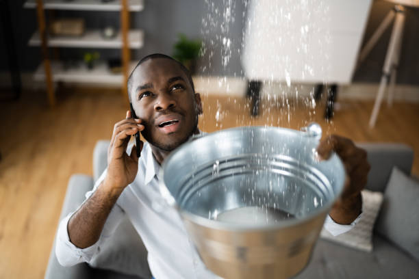 Best Mold removal after water damage  in Lake Leann, MI