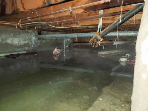 Trusted Lake Leann, MI Water damage restoration Experts