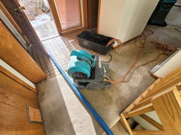 Best Sewage cleanup and water damage restoration  in Lake Leann, MI