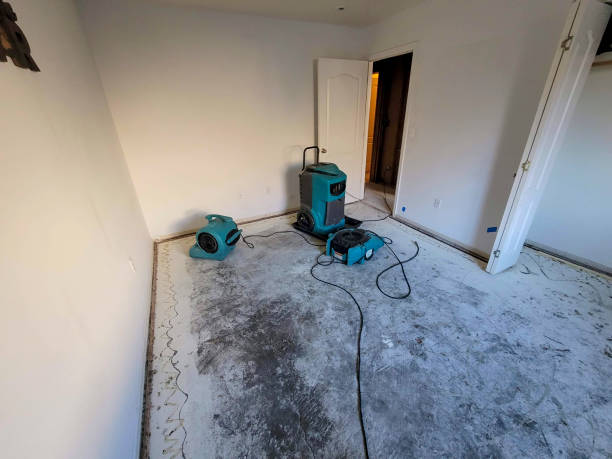 Best Water damage restoration cost  in Lake Leann, MI