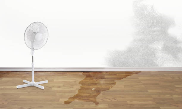 Best Flood restoration services  in Lake Leann, MI