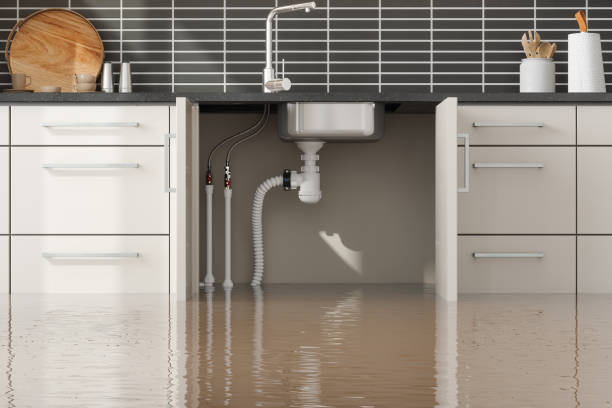 Best Carpet water damage restoration  in Lake Leann, MI