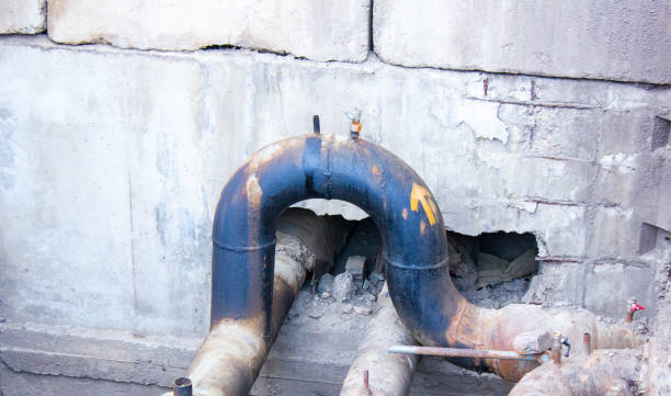 Best Emergency water extraction  in Lake Leann, MI