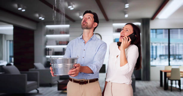 Best Fire Damage Restoration  in Lake Leann, MI