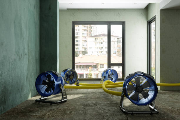 Best Residential water damage restoration  in Lake Leann, MI