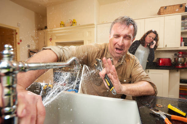 Best Water damage cleanup near me  in Lake Leann, MI